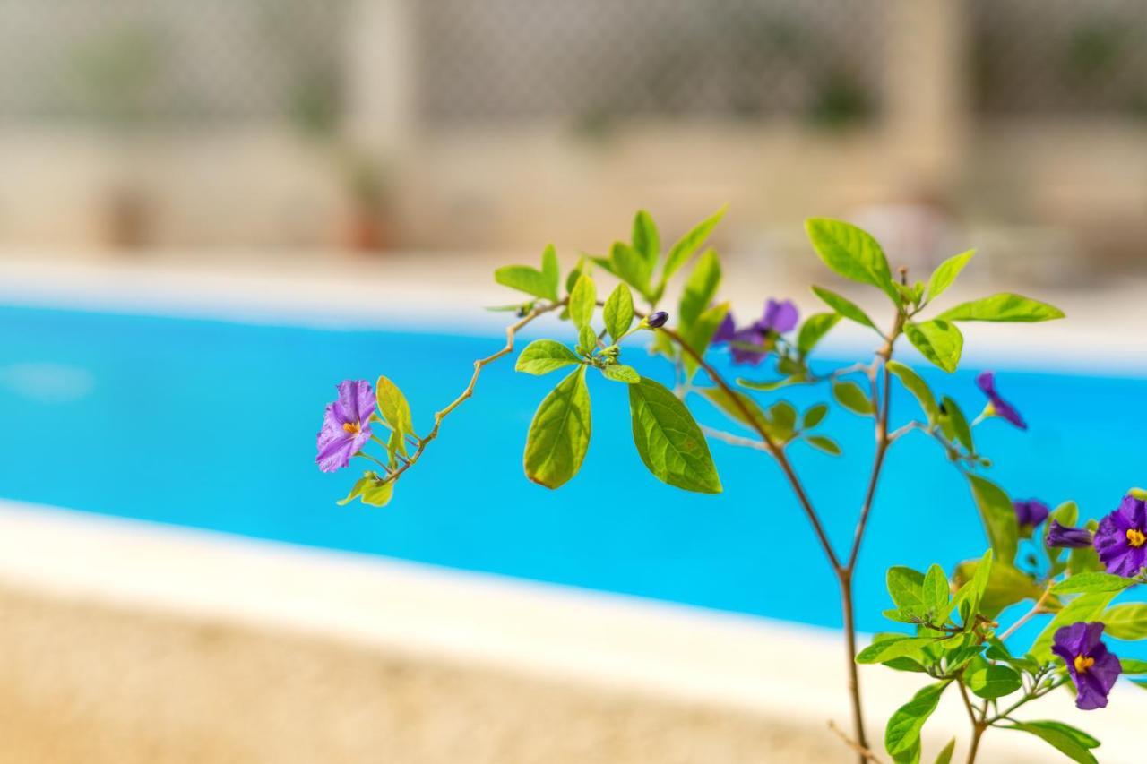 Hiona Holiday Hotel Palekastro Luaran gambar